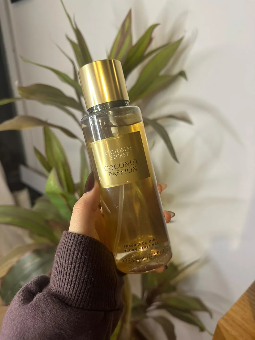 Frasco de body splash Victoria’s Secret Coconut Passion, dorado, sostenido en la mano frente a una planta